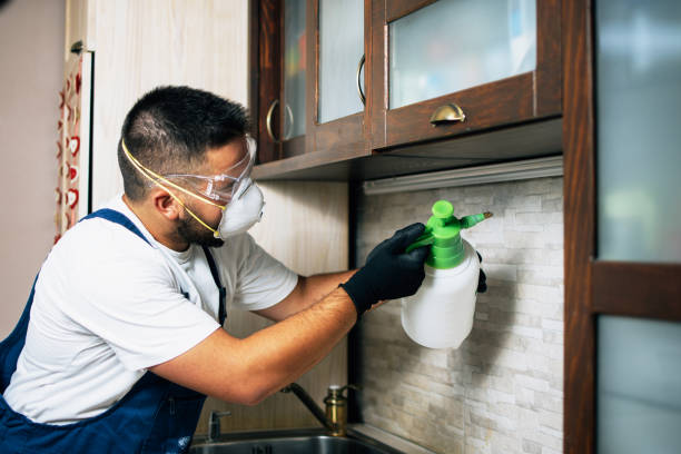 Best Best Pest Control Companies  in Waycross, GA