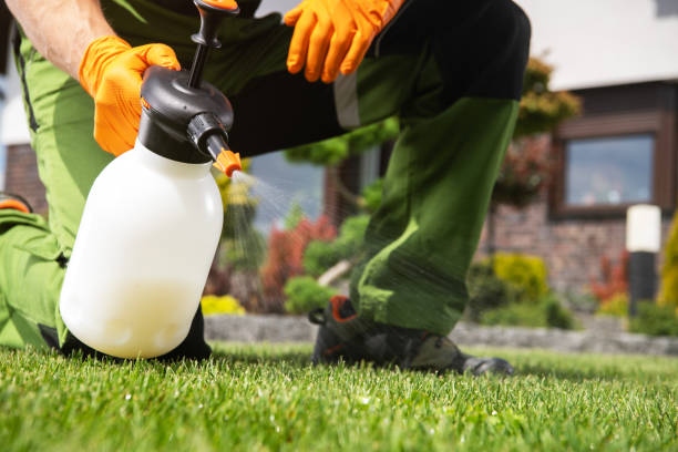 Best Exterminator Services  in Waycross, GA