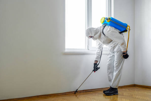 Best Flea Control Services  in Waycross, GA