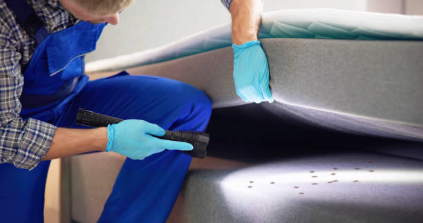 Best Pest Removal Services  in Waycross, GA