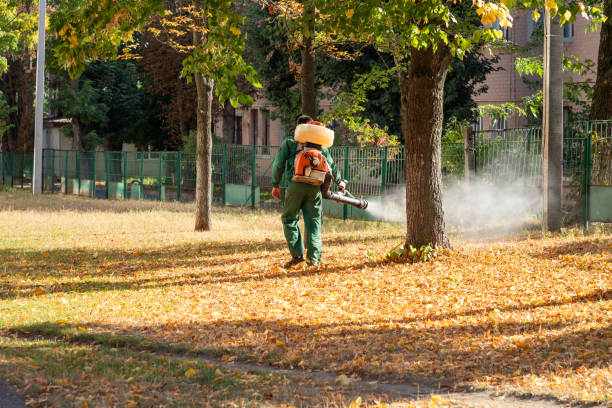 Best Ant Control Services  in Waycross, GA