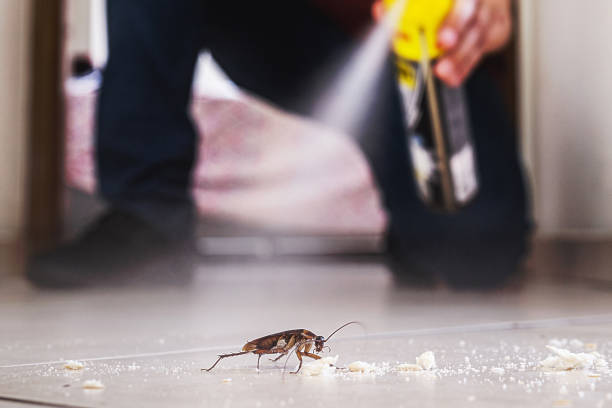 Best Emergency Pest Control  in Waycross, GA